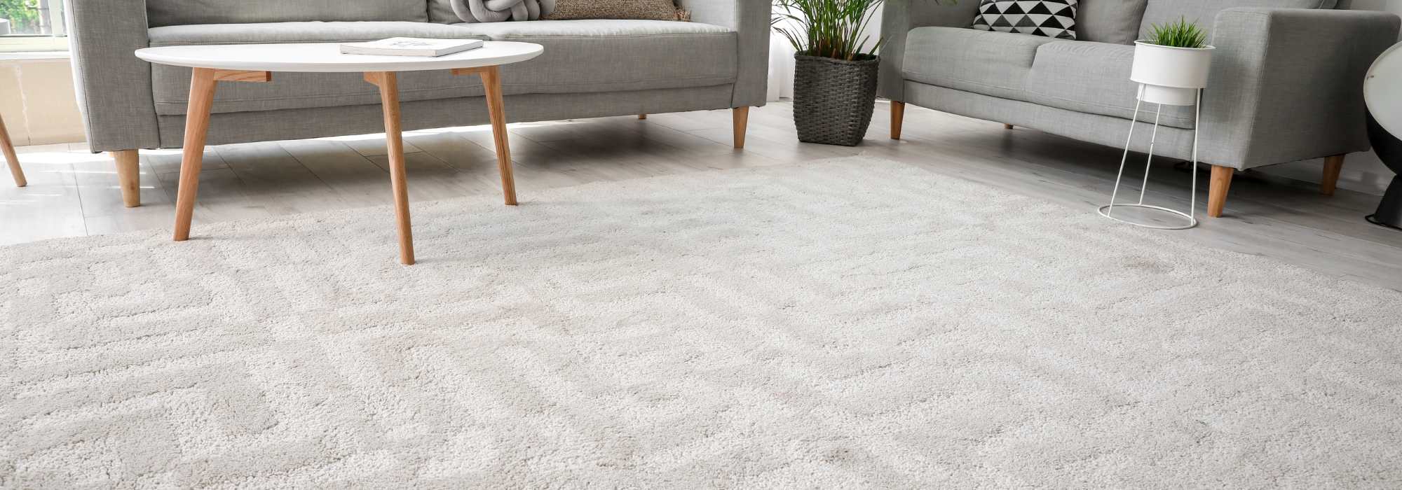 carpet fitter newhaven Edinburgh